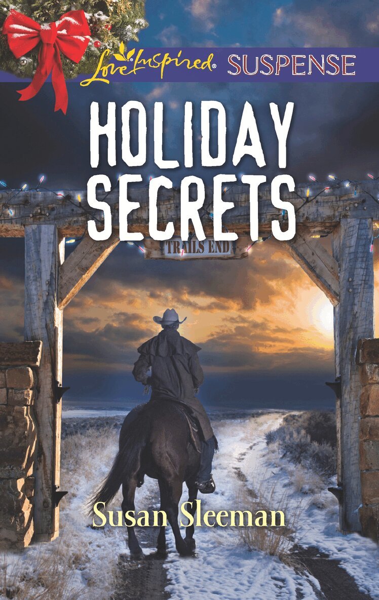 Susan Sleeman - Holiday Secrets, E-bok