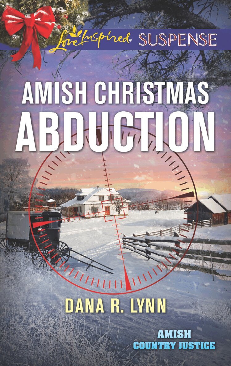 Dana R. Lynn - Amish Christmas Abduction, E-bok