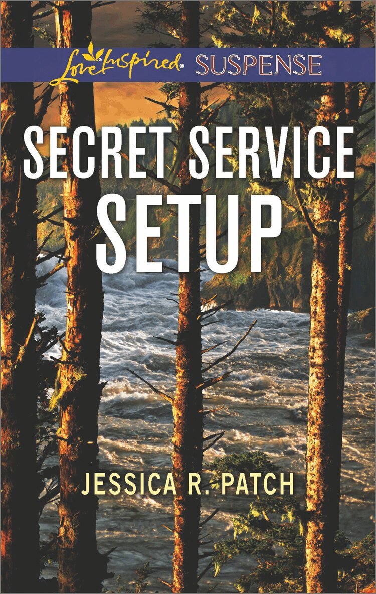 Jessica R. Patch - Secret Service Setup, E-bok