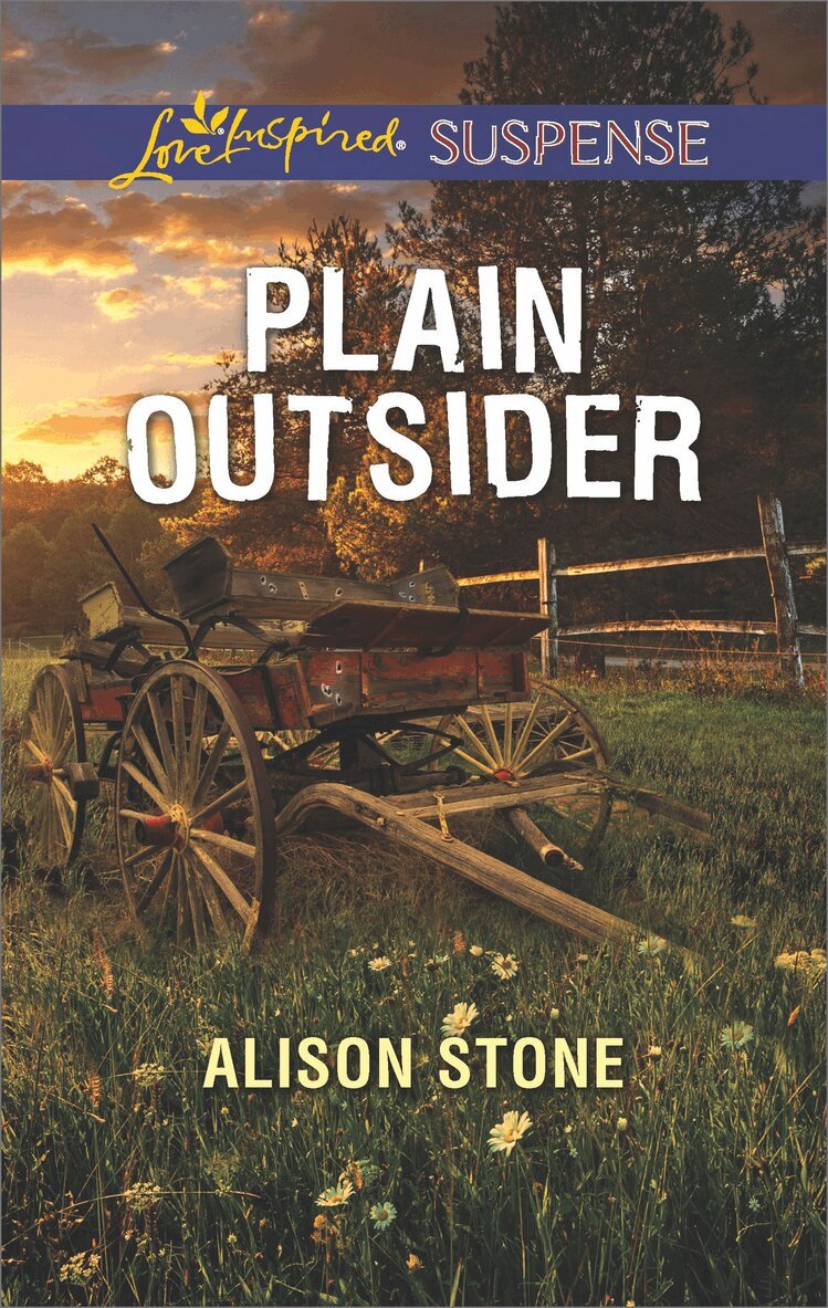 Alison Stone - Plain Outsider, E-bok