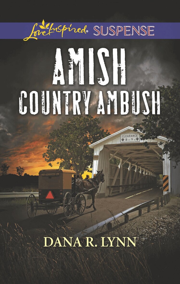 Dana R. Lynn - Amish Country Ambush, E-bok