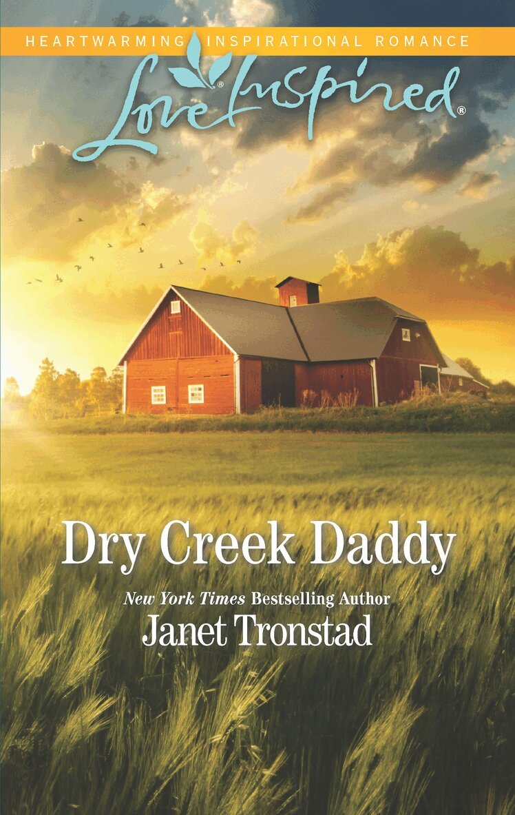 Janet Tronstad - Dry Creek Daddy, E-bok