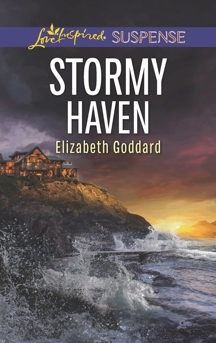 Elizabeth Goddard - Stormy Haven, E-bok