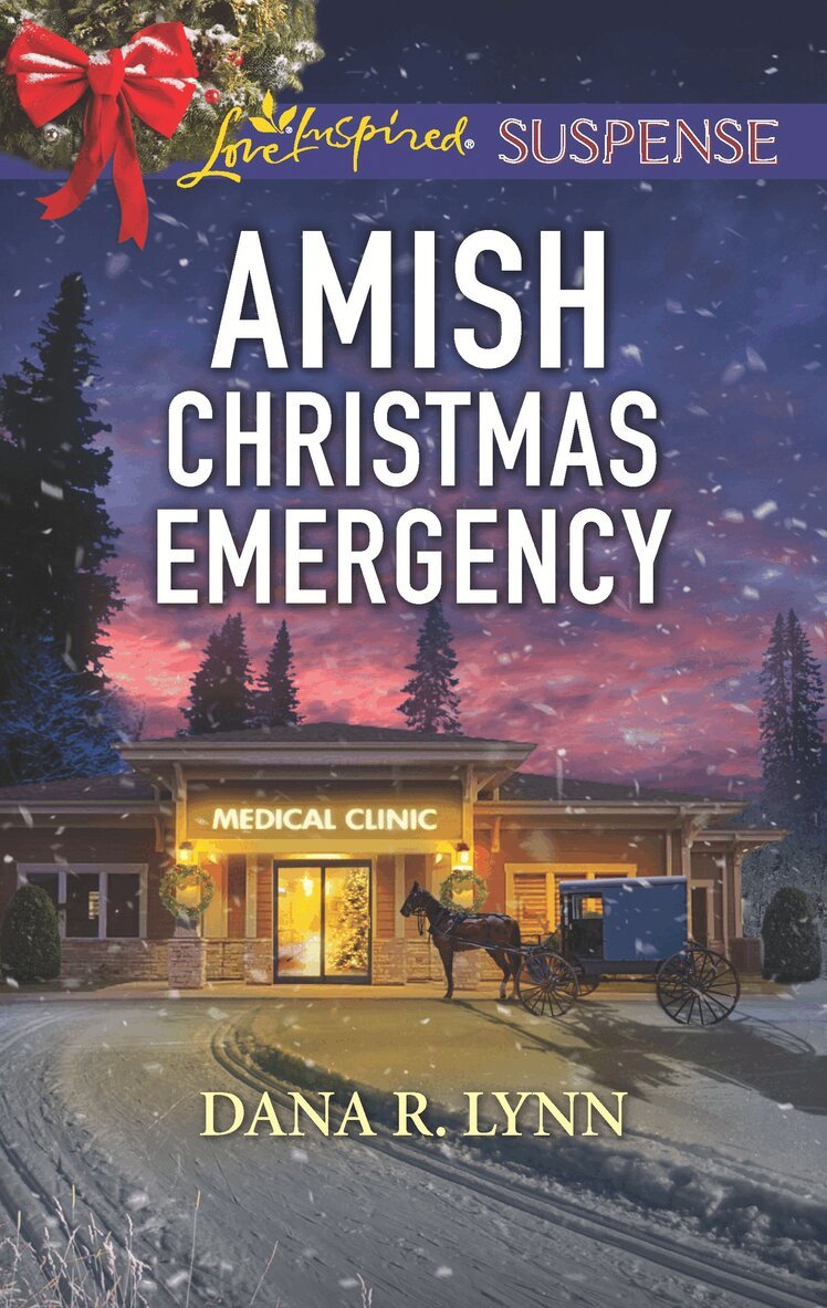 Dana R. Lynn - Amish Christmas Emergency, E-bok