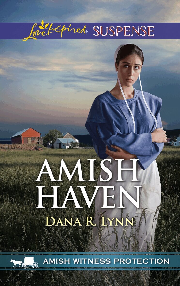 Dana R. Lynn - Amish Haven, E-bok