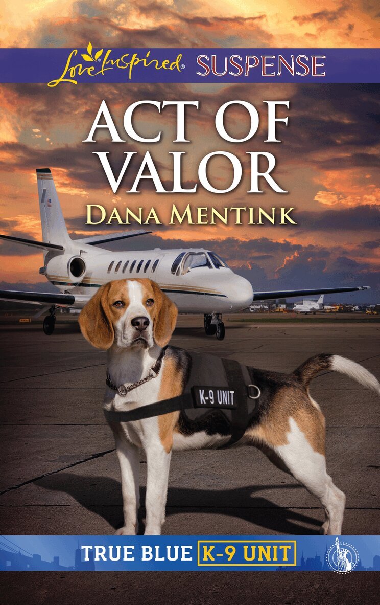 Dana Mentink - Act Of Valor, E-bok