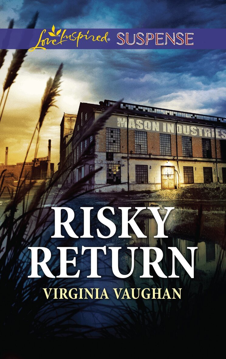 Virginia Vaughan - Risky Return, E-bok