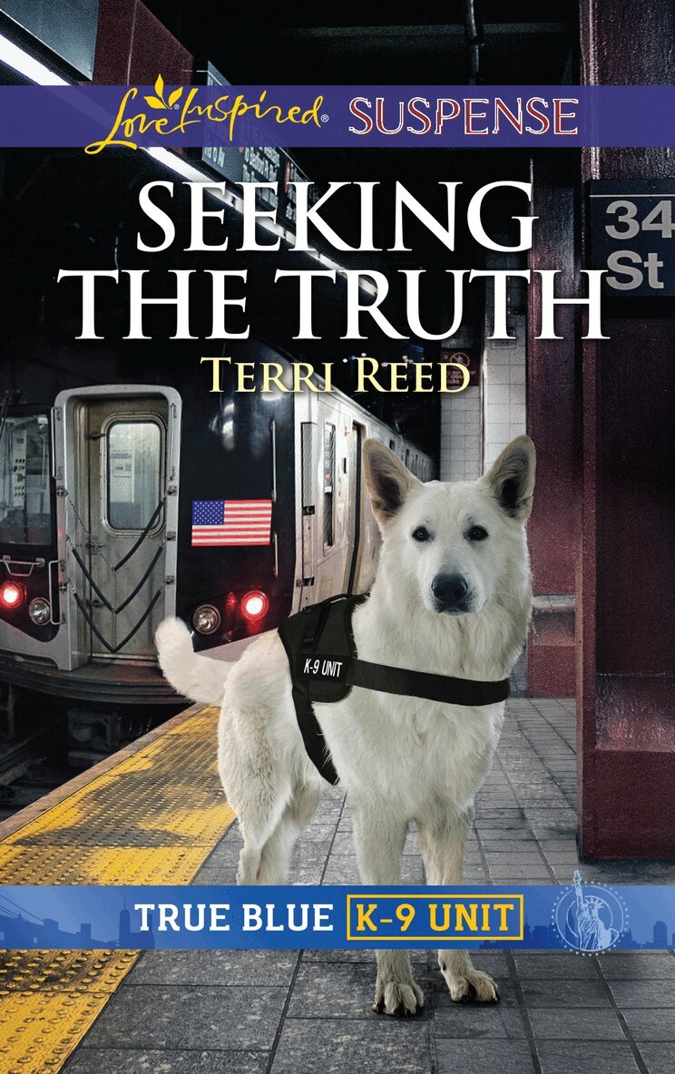 Terri Reed - Seeking The Truth, E-bok