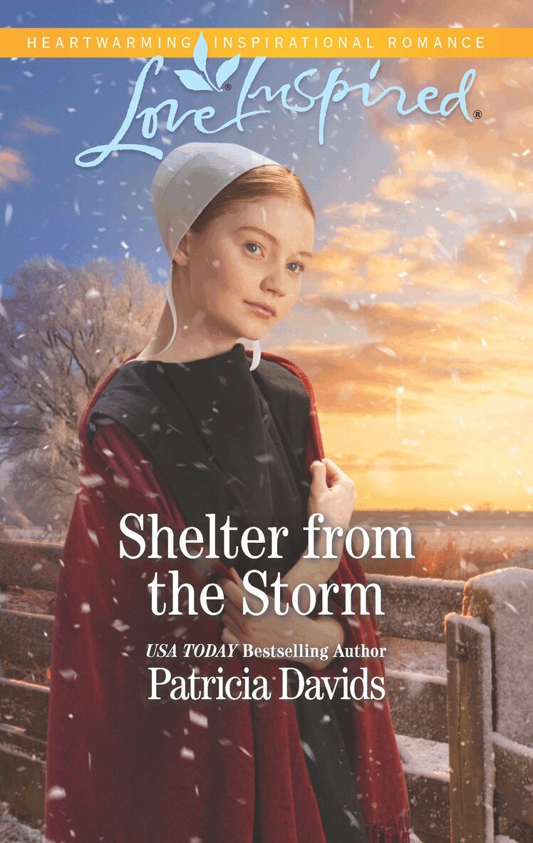 Patricia Davids - Shelter From The Storm, E-bok