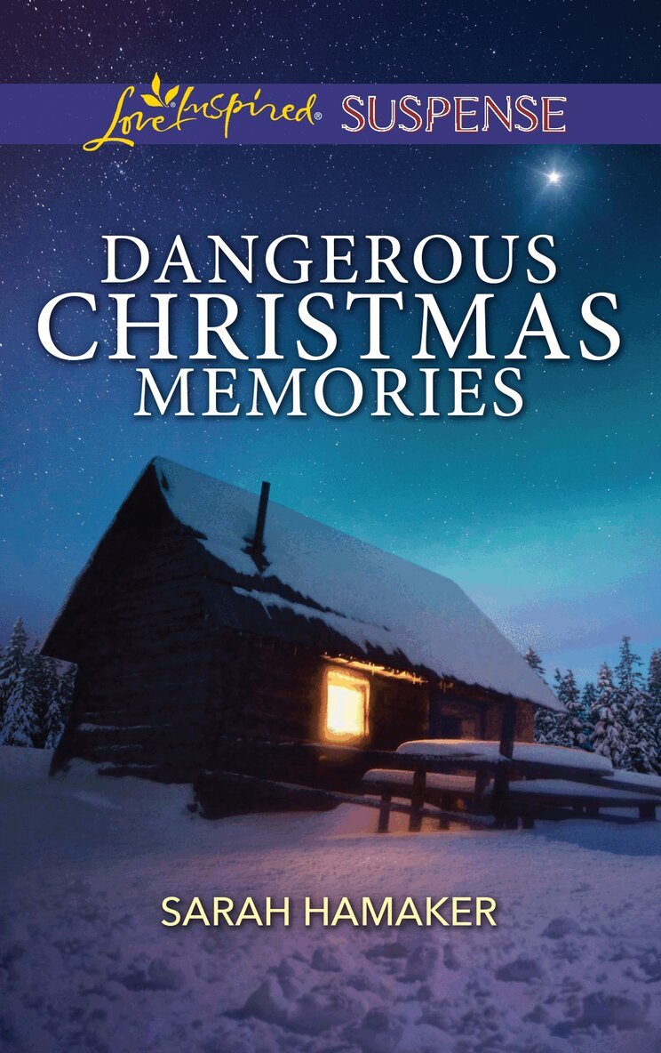 Sarah Hamaker - Dangerous Christmas Memories, E-bok