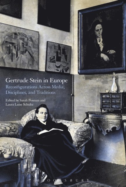 Sarah Posman, Laura Luise Schultz - Gertrude Stein in Europe, E-bok