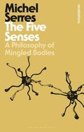 Five Senses