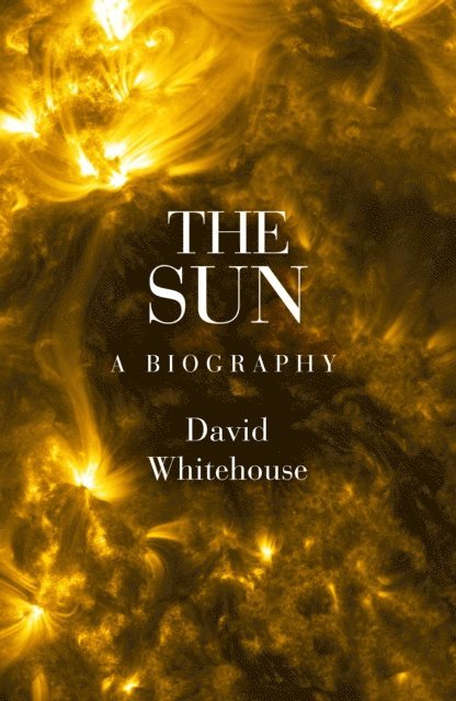 David Whitehouse - Sun, E-bok