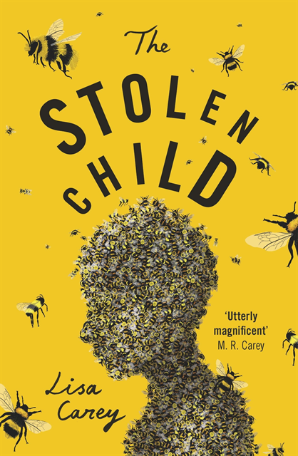 Lisa Carey - Stolen Child, E-bok