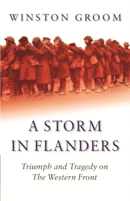 Winston Groom - Storm in Flanders, E-bok