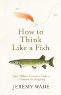 How to Think Like a Fish