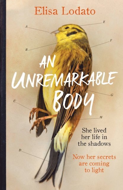 Elisa Lodato - Unremarkable Body, E-bok