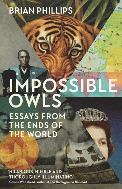 Brian Phillips - Impossible Owls, E-bok