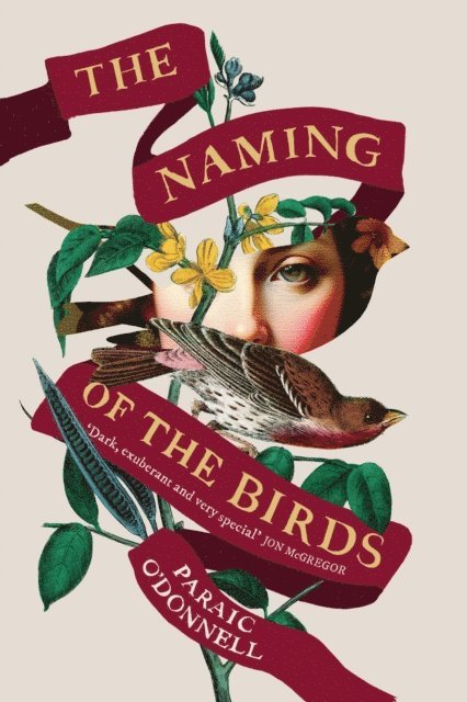 Paraic O'Donnell - Naming of the Birds, E-bok
