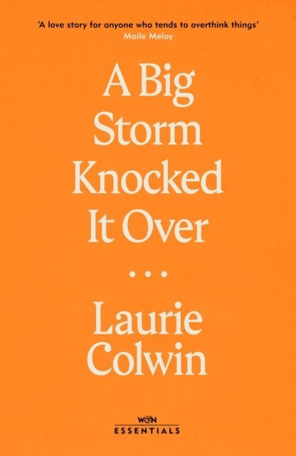 Laurie Colwin - Big Storm Knocked it Over, E-bok