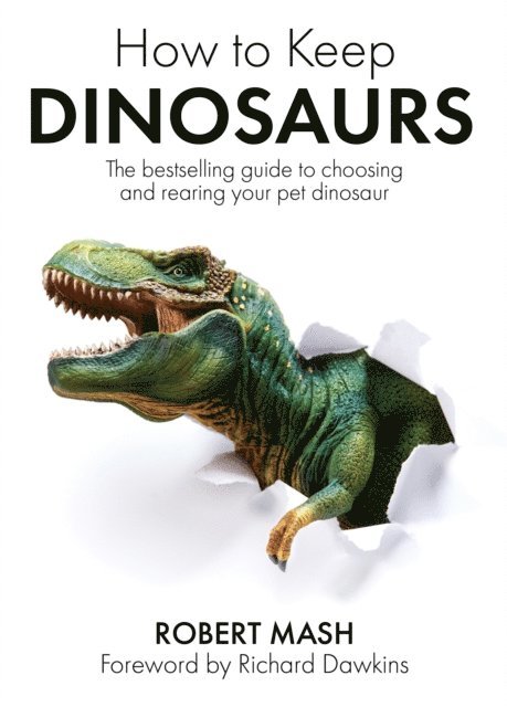 Robert Mash - How To Keep Dinosaurs, E-bok