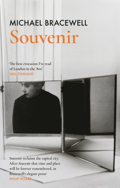 Michael Bracewell - Souvenir, E-bok