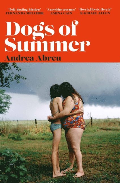 Andrea Abreu - Dogs of Summer, E-bok