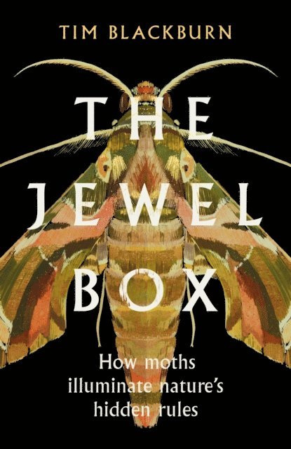 Tim Blackburn - Jewel Box, E-bok