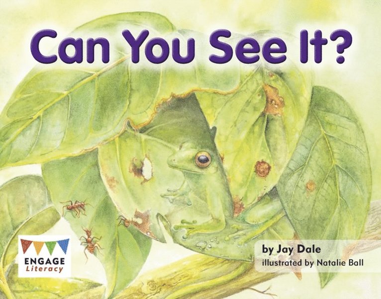 Jay Dale - Can You See It?, E-bok