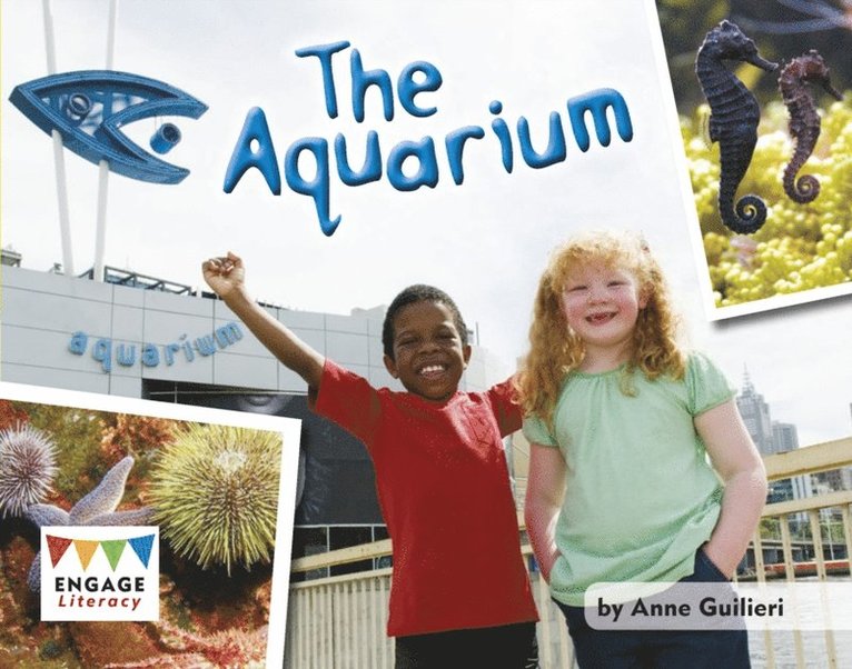 Anne Giulieri - Aquarium, E-bok