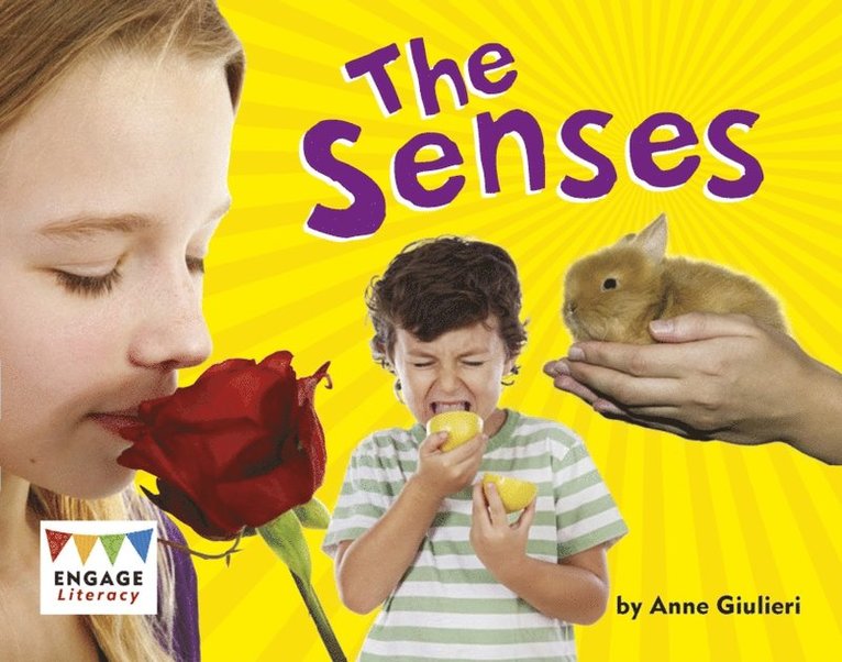 Anne Giulieri - Senses, E-bok