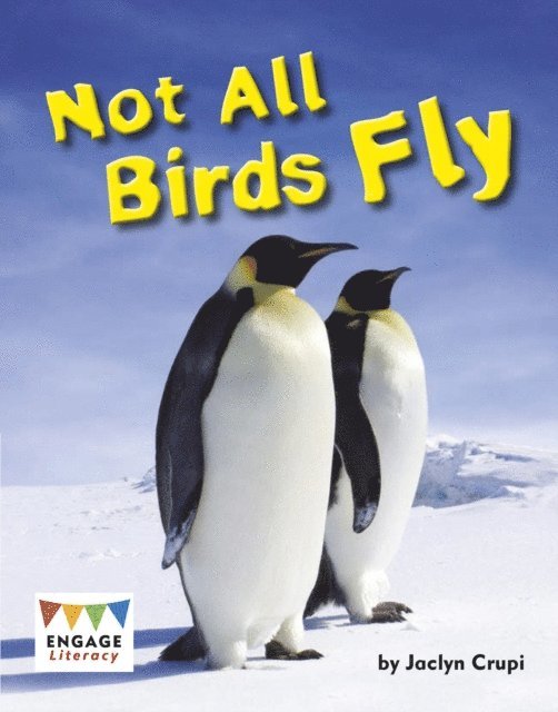 Jaclyn Crupi - Not All Birds Fly, E-bok. Tillgänglighet: Lägg i varukorg