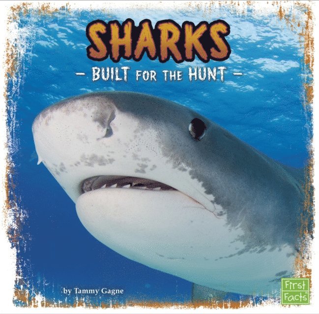 Tammy Gagne - Sharks, E-bok