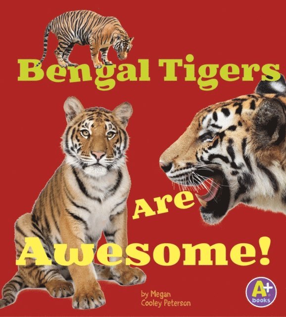 Megan C Peterson - Bengal Tigers Are Awesome!, E-bok