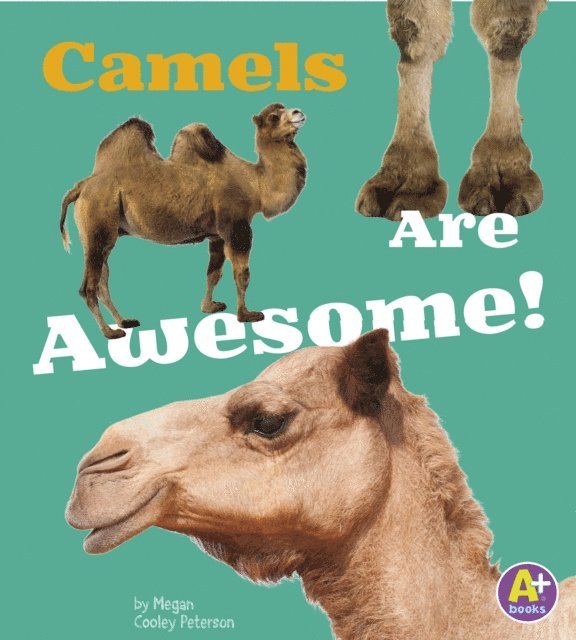 Allan Morey - Camels Are Awesome!, E-bok