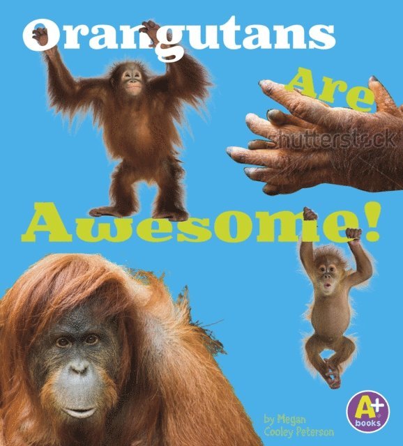 Allan Morey - Orangutans Are Awesome!, E-bok