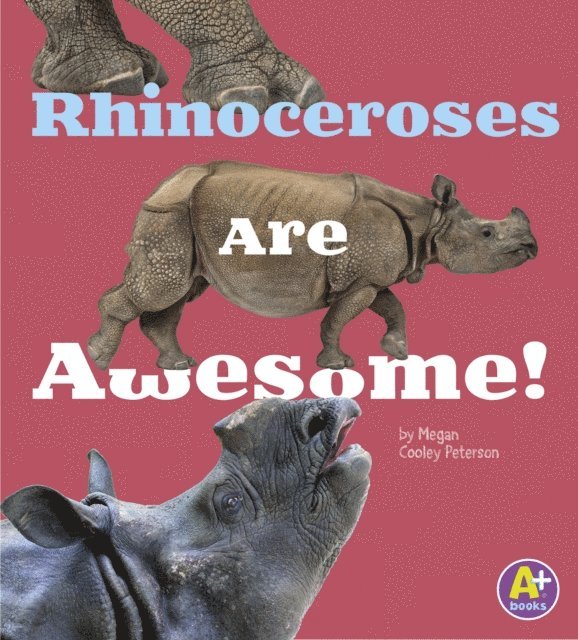 Allan Morey - Rhinoceroses Are Awesome!, E-bok
