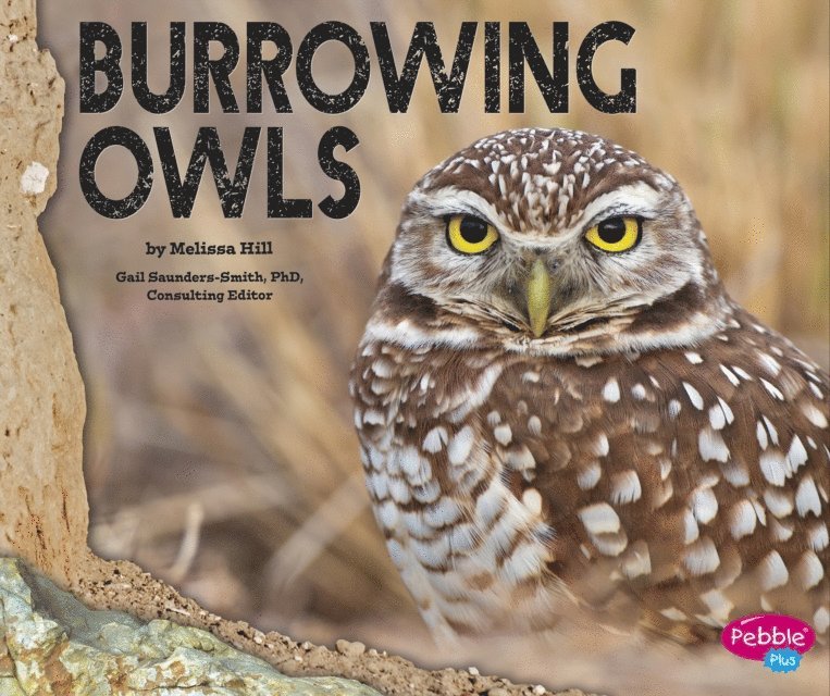 Melissa Hill - Burrowing Owls, E-bok