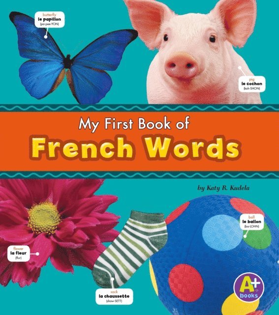Katy R. Kudela - French Words, E-bok