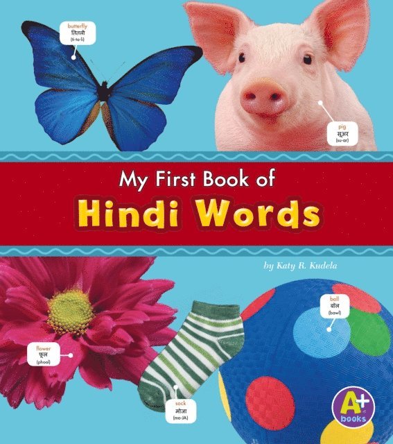 Katy R. Kudela - Hindi Words, E-bok
