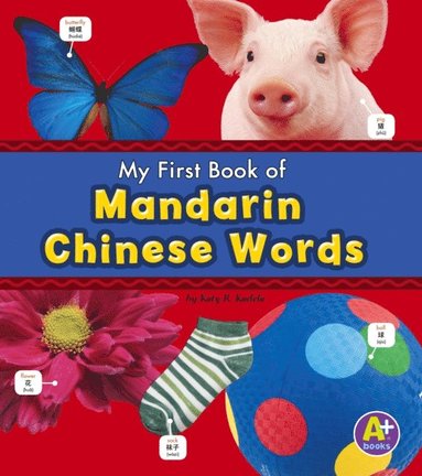 Katy R. Kudela - Mandarin Chinese Words, E-bok