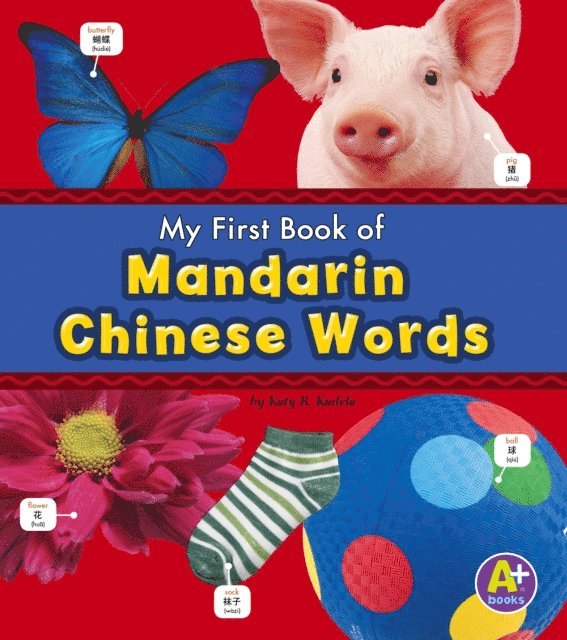 Katy R. Kudela - Mandarin Chinese Words, E-bok