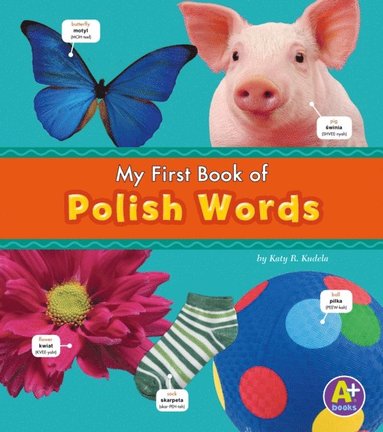 Katy R. Kudela - Polish Words, E-bok