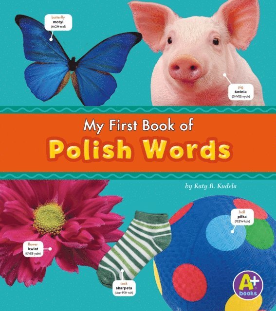 Katy R. Kudela - Polish Words, E-bok