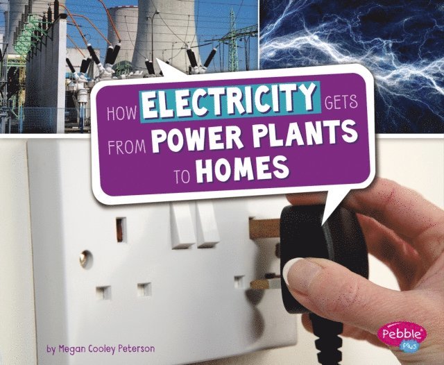 Megan Cooley Peterson - How Electricity Gets from Power Plants to Homes, E-bok