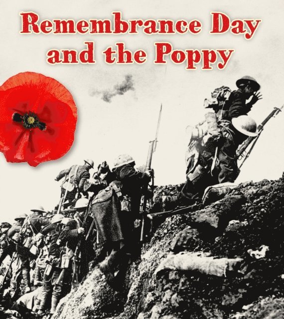 Helen Cox Cannons - Remembrance Day and the Poppy, E-bok