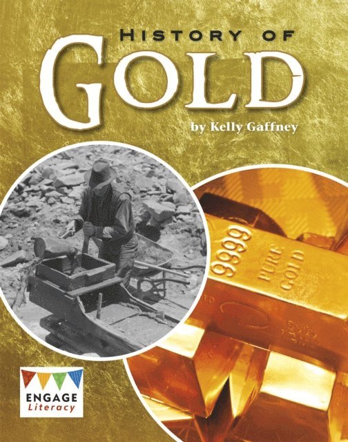 Kelly Gaffney - History of Gold, E-bok
