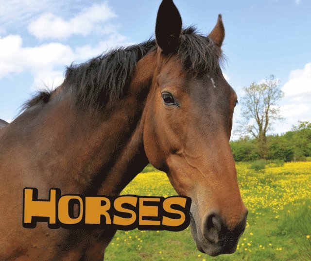 Sheri Doyle - Horses, E-bok. Tillgänglighet: Lägg i varukorg