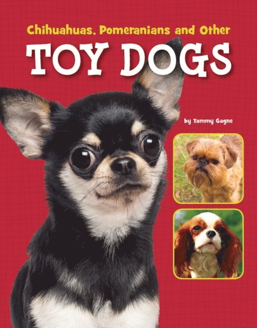Tammy Gagne - Chihuahuas, Pomeranians and Other Toy Dogs, E-bok
