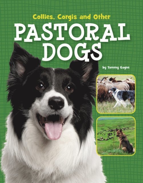 Tammy Gagne - Collies, Corgis and Other Pastoral Dogs, E-bok
